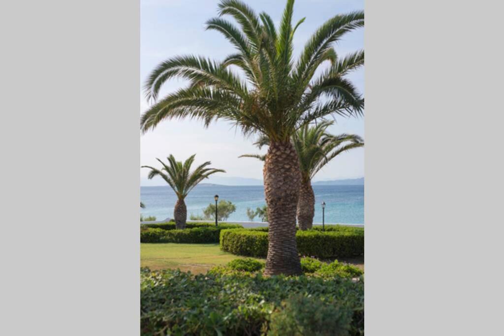 Palmaya Villa, Unique Seafront Experience Vagia  Eksteriør billede