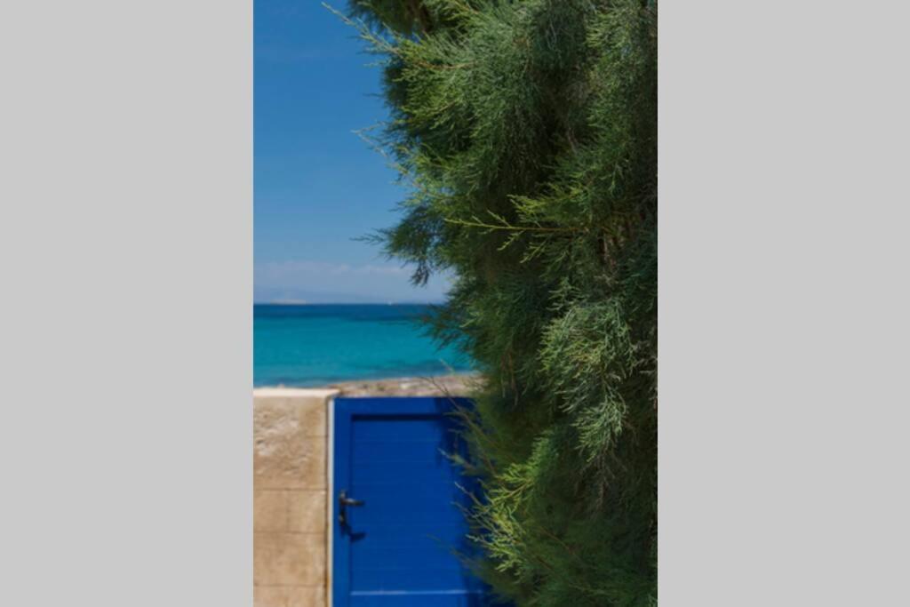Palmaya Villa, Unique Seafront Experience Vagia  Eksteriør billede