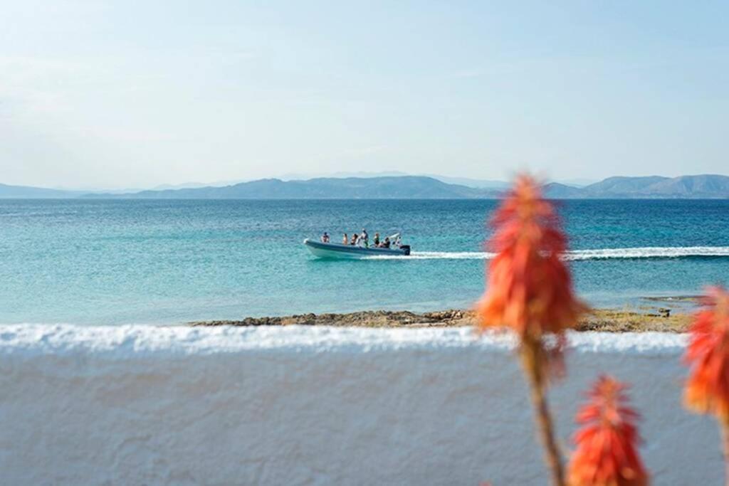 Palmaya Villa, Unique Seafront Experience Vagia  Eksteriør billede